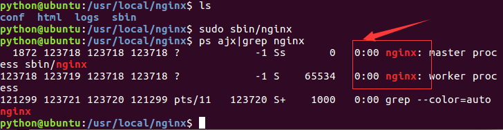 nginx